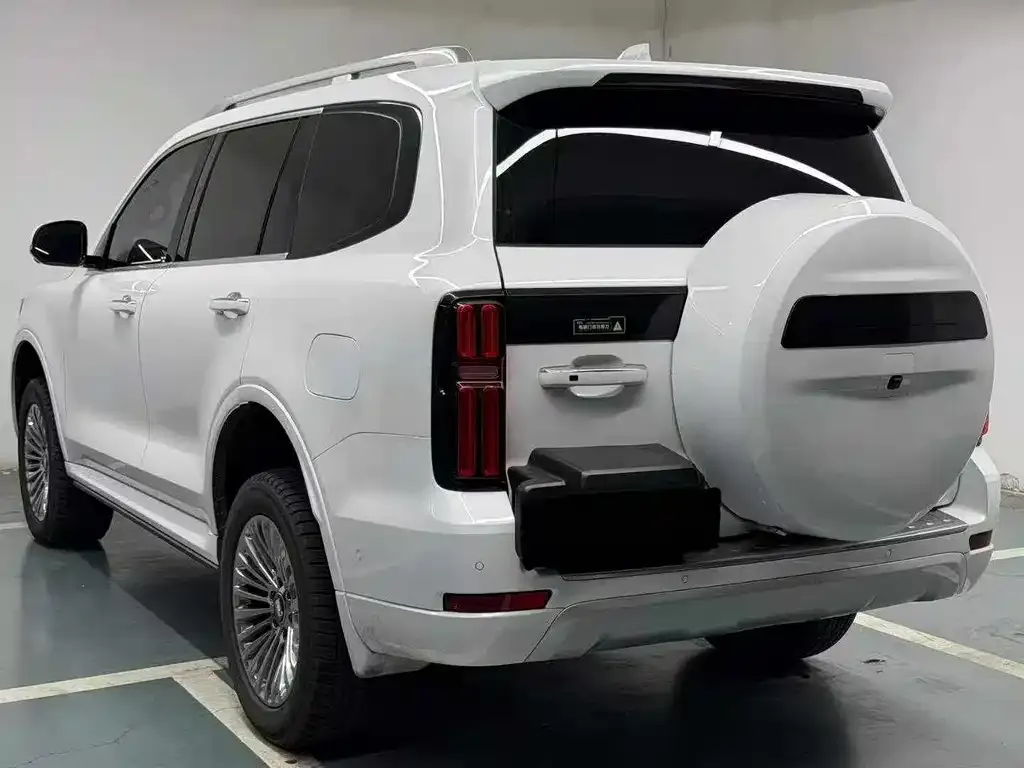 Tank 500 New Energy 2024 из CN, фото 3