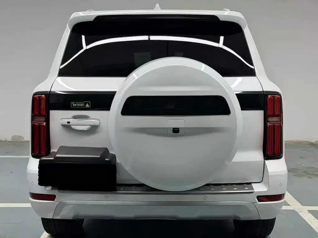 Tank 500 New Energy 2024 из CN, фото 2