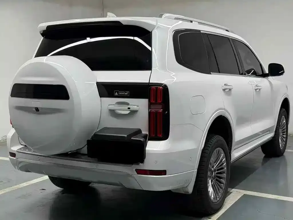 Tank 500 New Energy 2024 из CN, фото 4