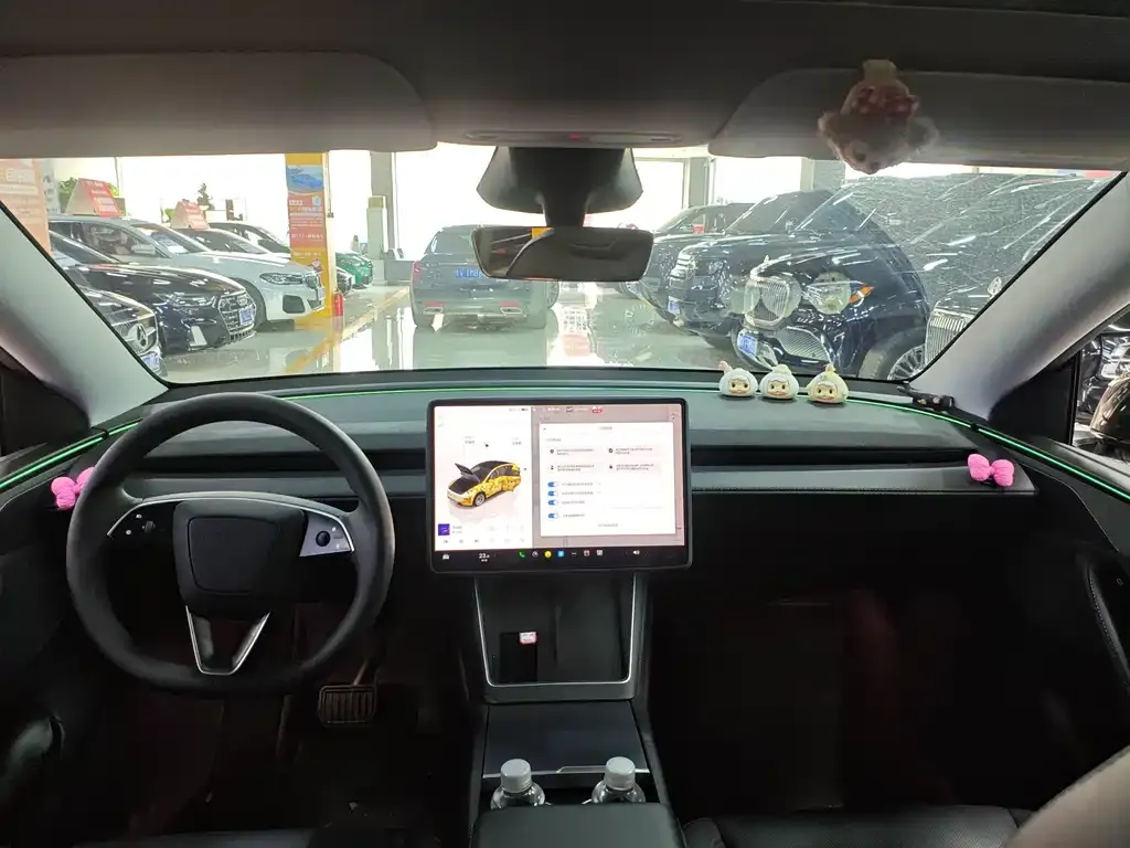 Tesla Model Y — фото 9