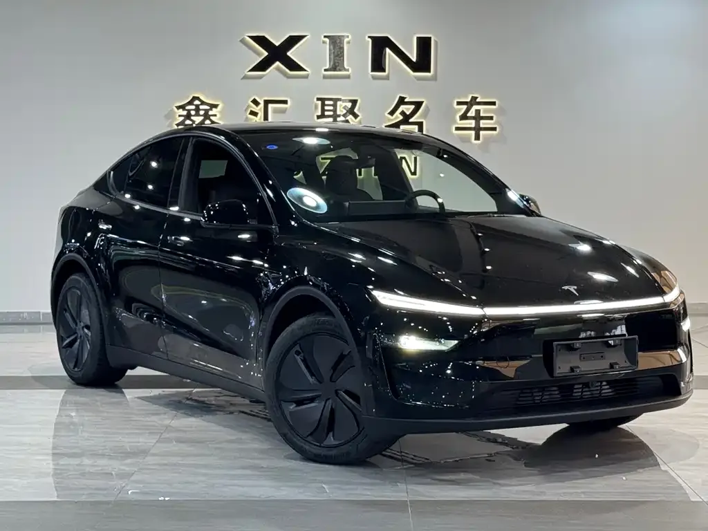 Tesla Model Y — фото 5