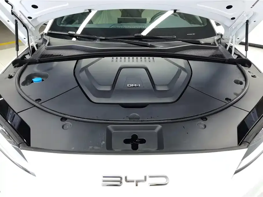 BYD PLUS New Energy — фото 4