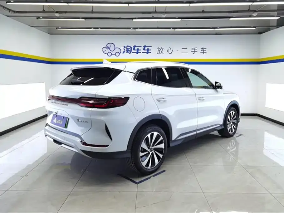 BYD PLUS New Energy — фото 6