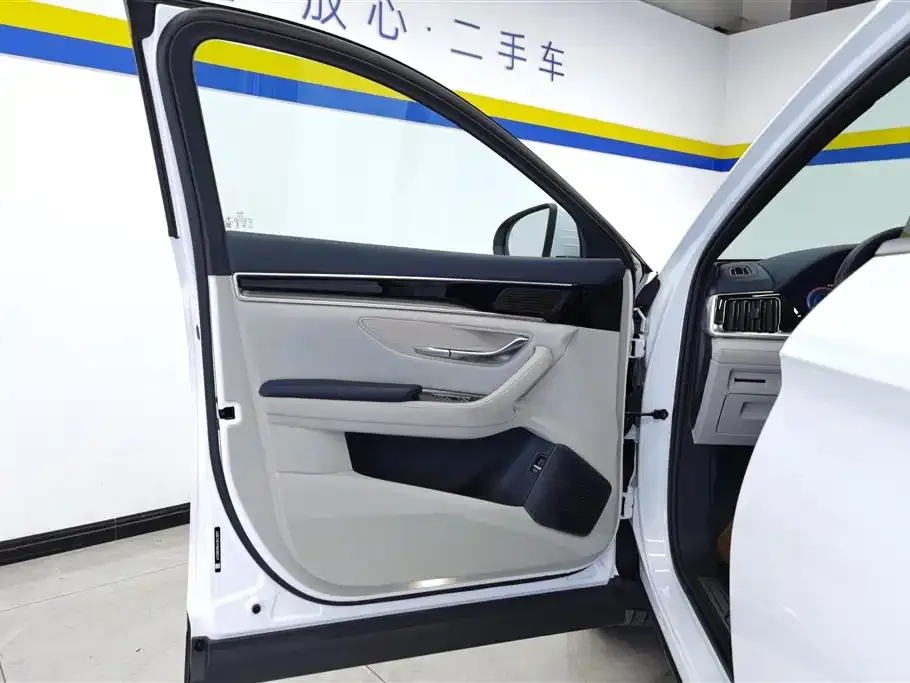 BYD PLUS New Energy — фото 7