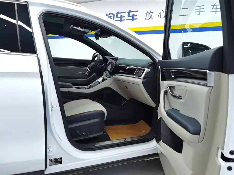BYD PLUS New Energy — фото 9