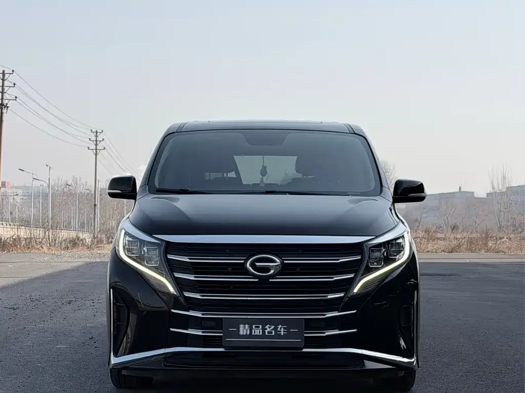 GAC Motor Trumpchi M8 2021 из CN, фото 2