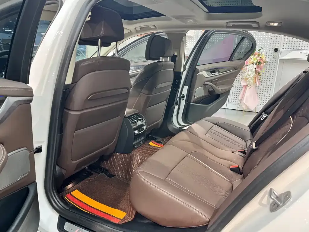 BMW 5 Series 2021 из CN, фото 5