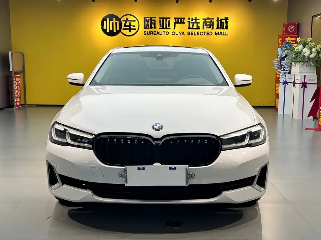 BMW 5 Series 2021 из CN, фото 3