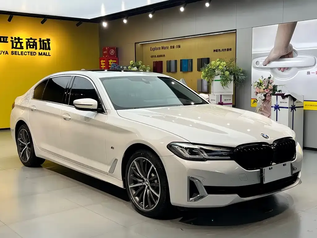 BMW 5 Series 2021 из CN, фото 7