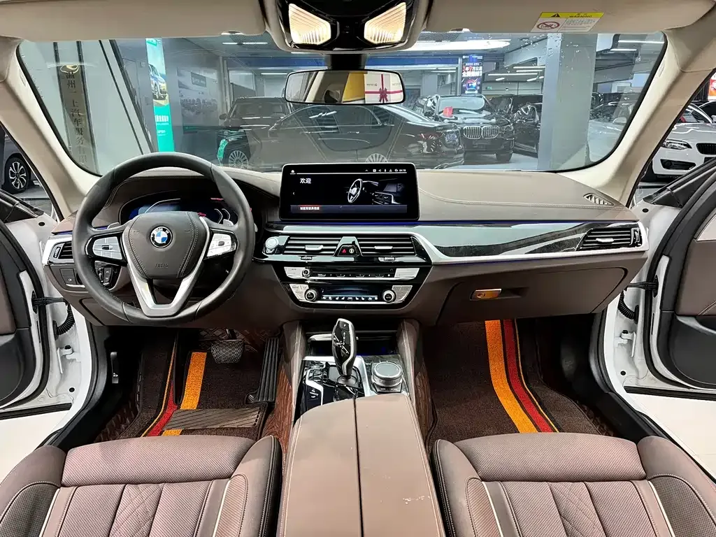 BMW 5 Series 2021 из CN, фото 10