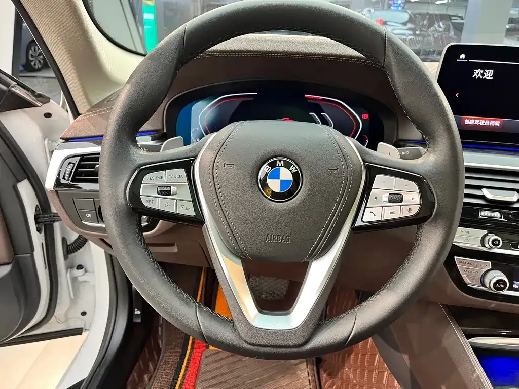 BMW 5 Series 2021 из CN, фото 4