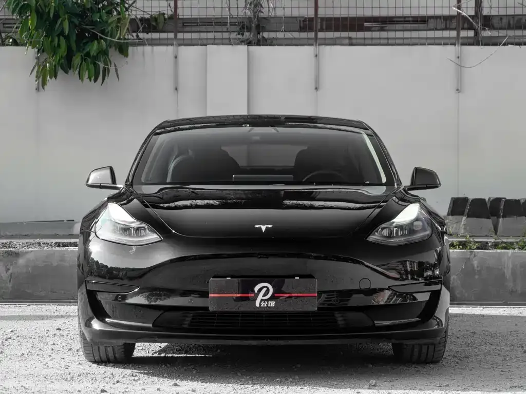 Tesla Model 3 — фото 2