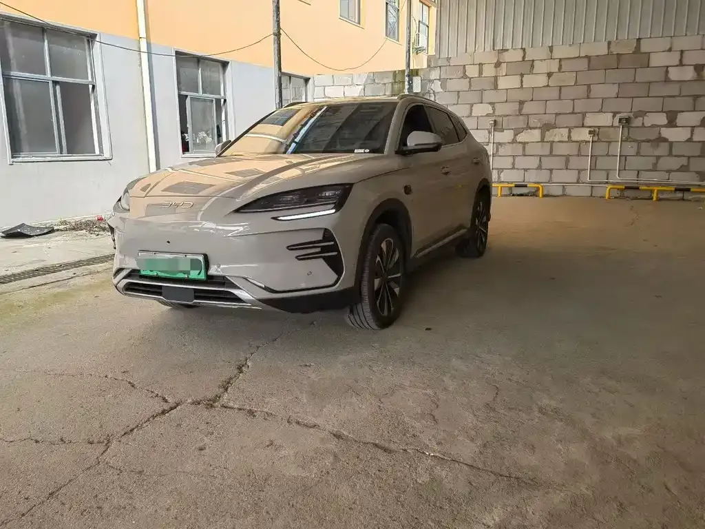 BYD PLUS New Energy — фото 1