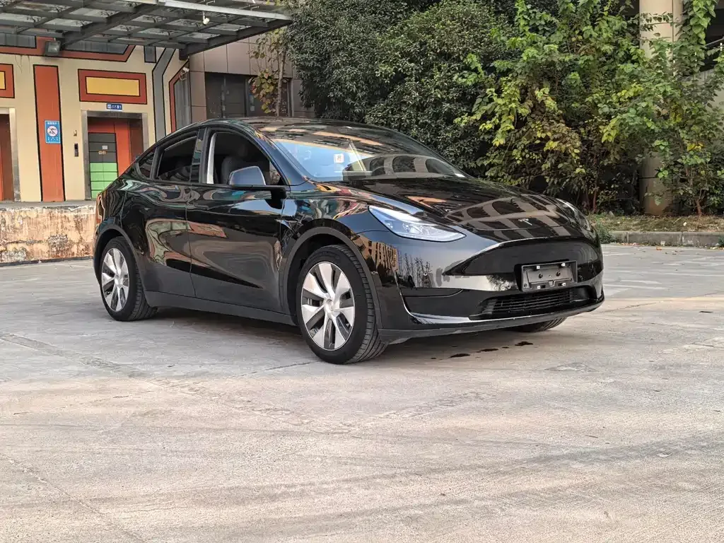 Tesla Model Y — фото 4