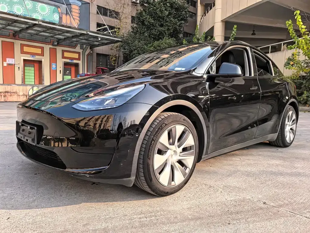Tesla Model Y — фото 10