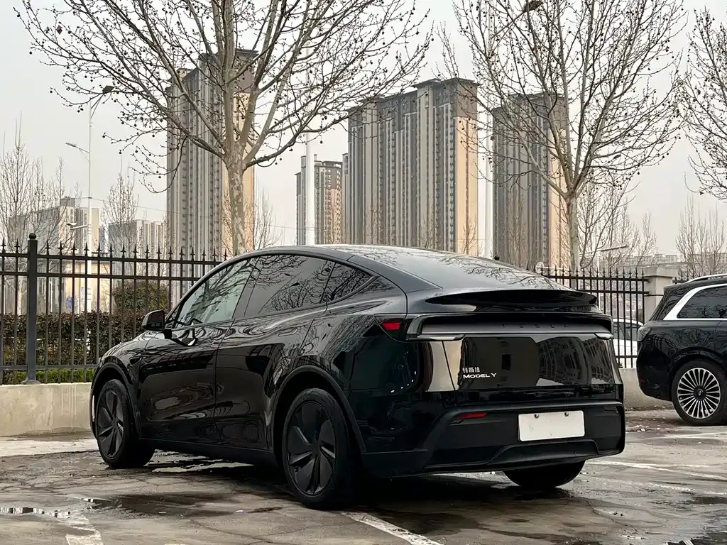Tesla Model Y — фото 9
