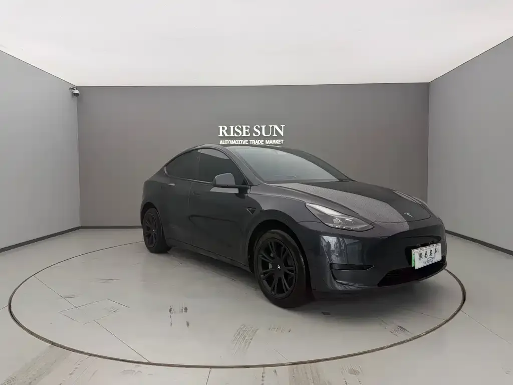 Tesla Model Y — фото 2