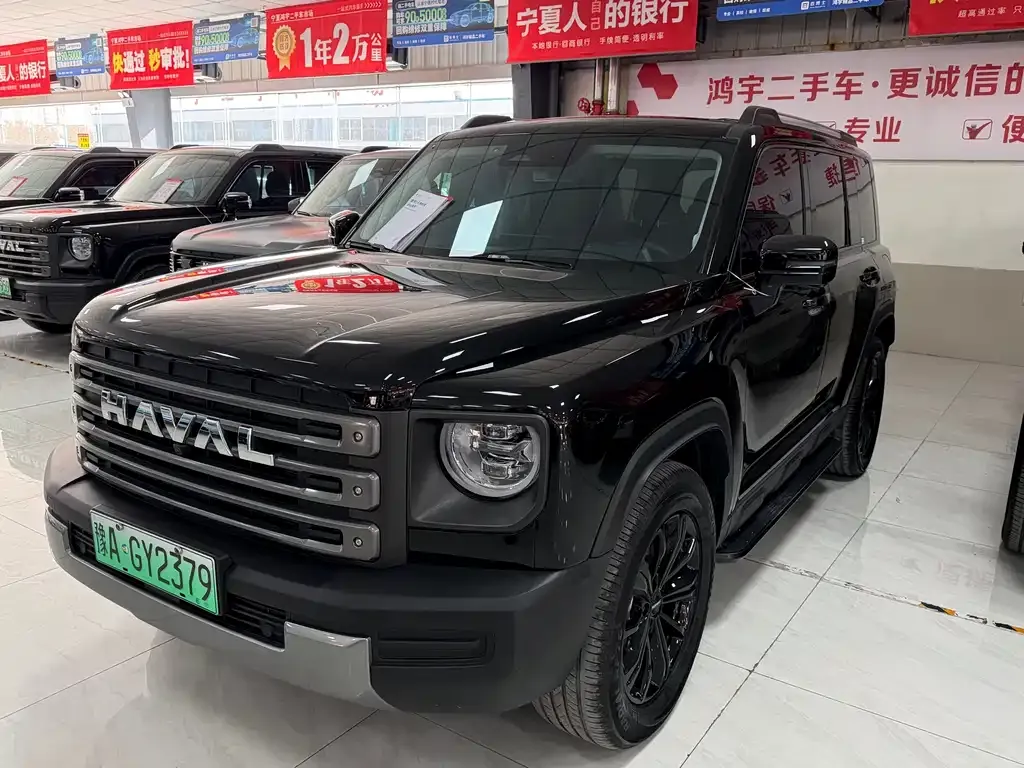Haval Menglong New Energy 2024 из CN, фото 1