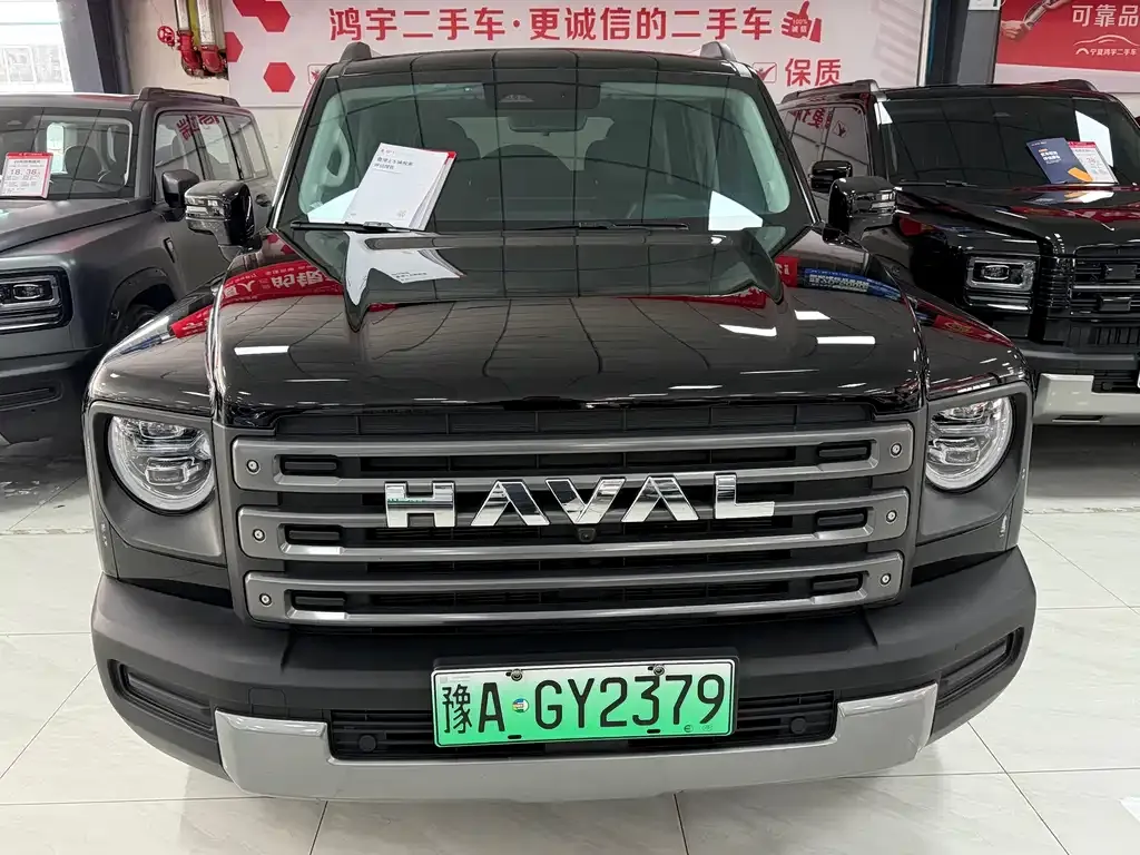 Haval Menglong New Energy 2024 из CN, фото 7