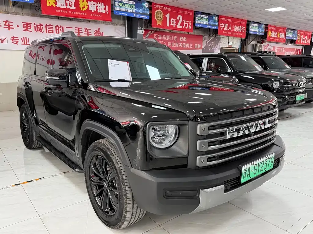 Haval Menglong New Energy 2024 из CN, фото 5