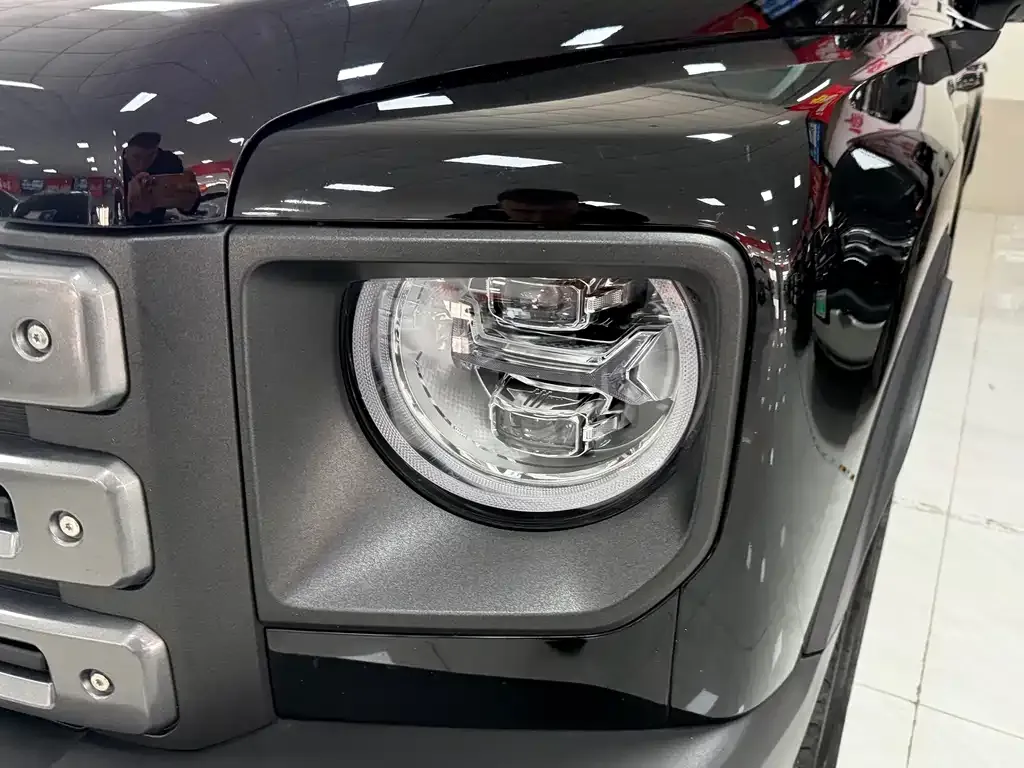 Haval Menglong New Energy 2024 из CN, фото 2