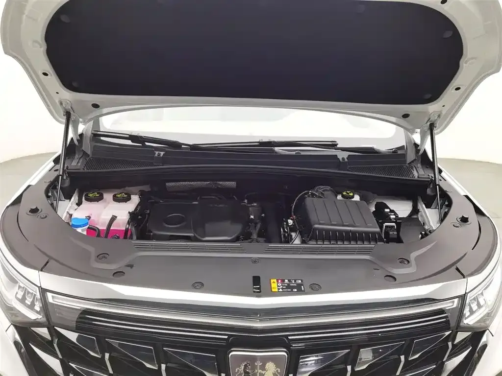Roewe iMAX8 New Energy 2025 из CN, фото 10