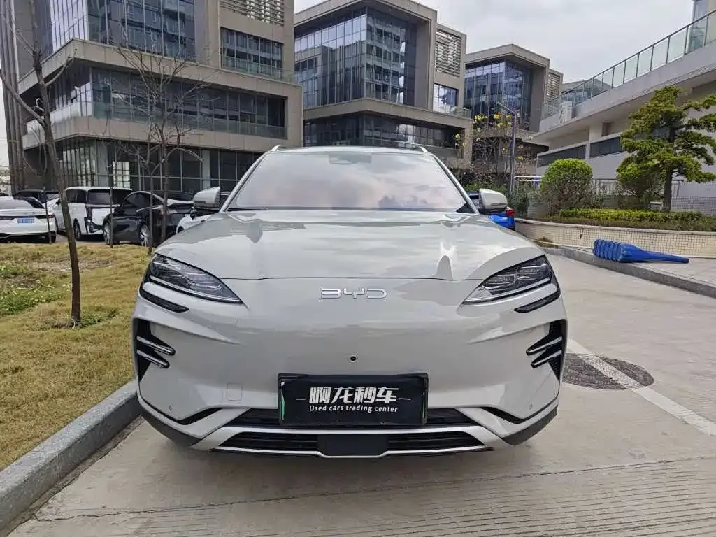 BYD PLUS New Energy 2025 из CN, фото 3