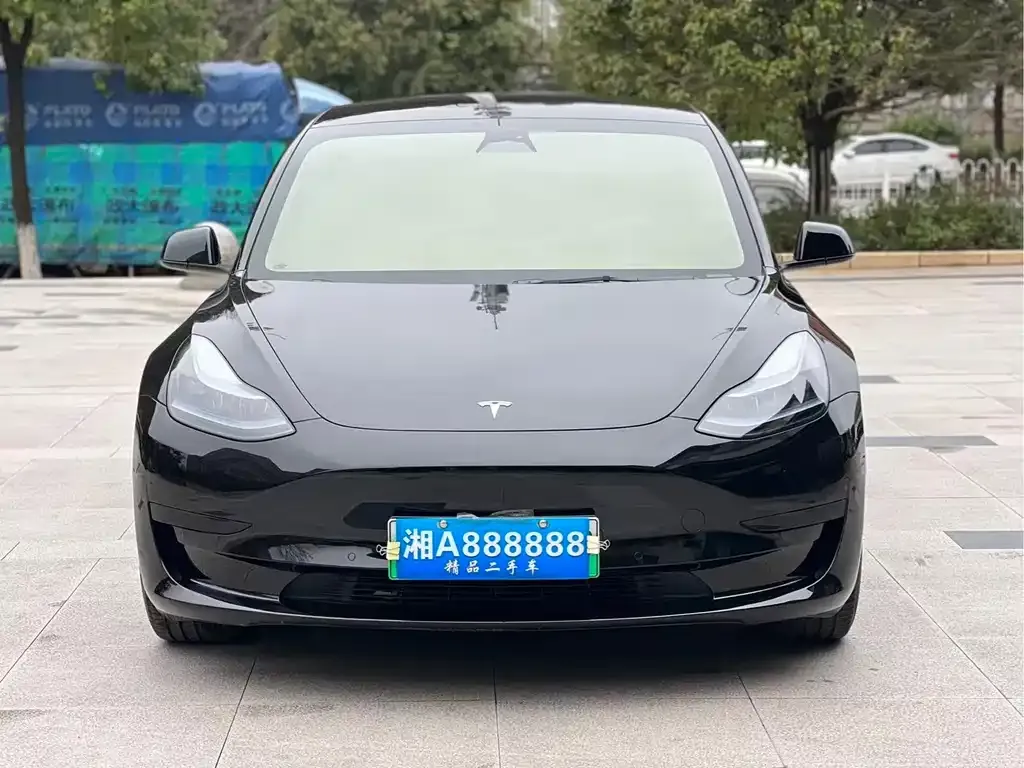 Tesla Model 3 2023 из CN, фото 2