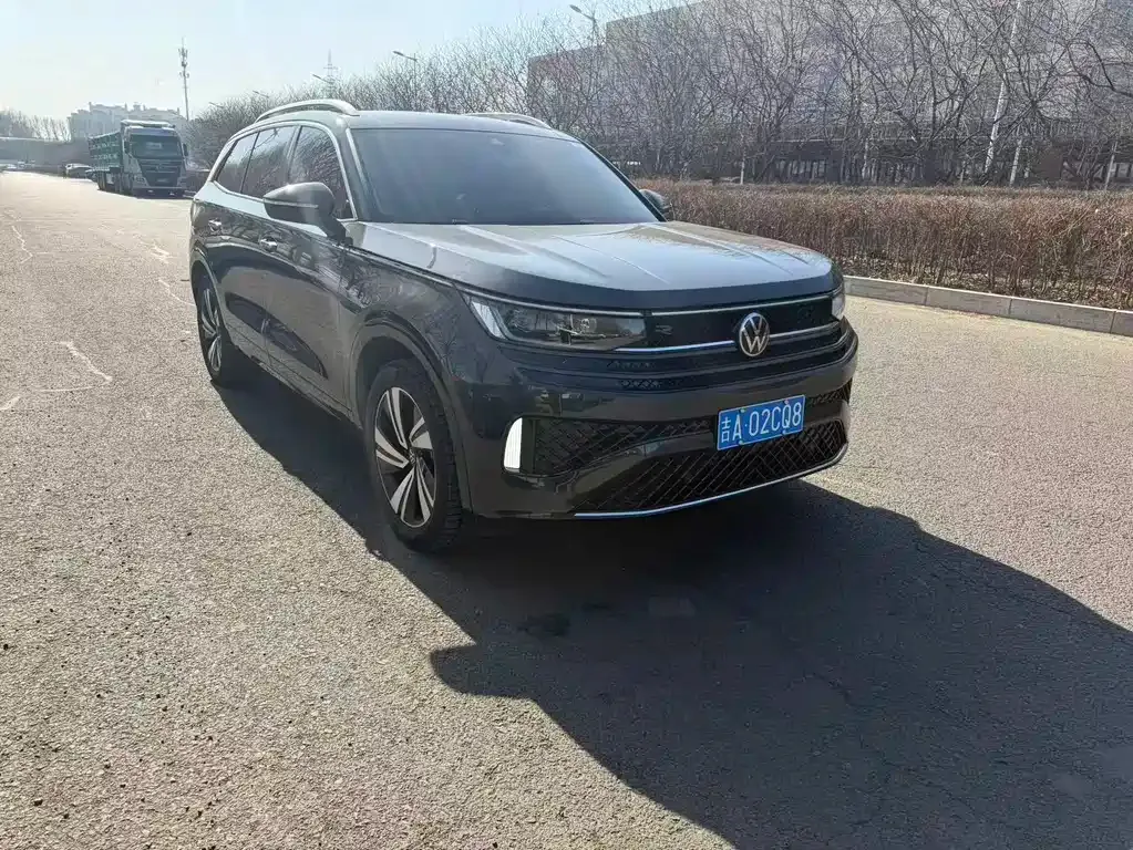 Volkswagen Tavendor 2024 из CN, фото 6