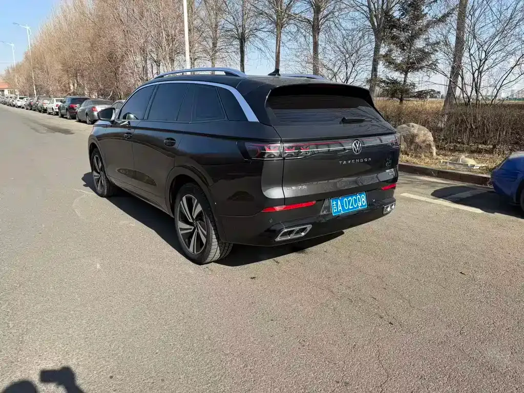 Volkswagen Tavendor 2024 из CN, фото 7