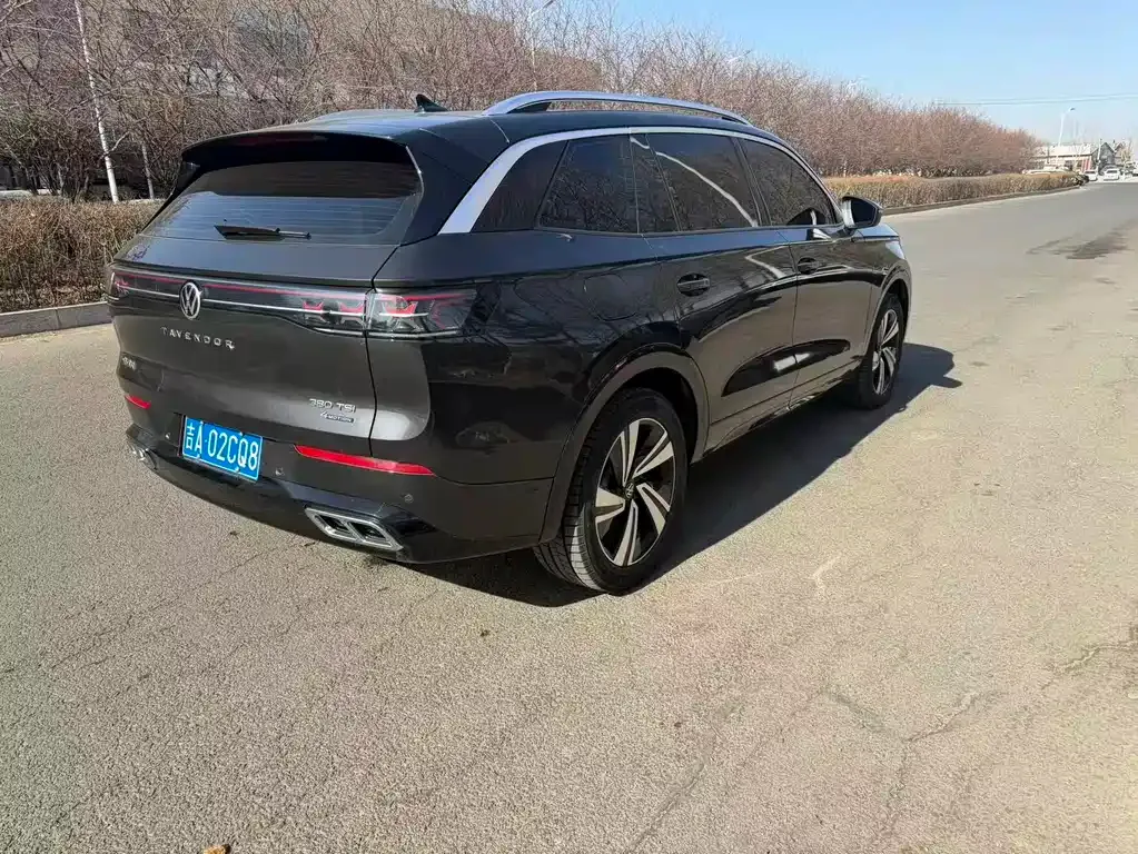 Volkswagen Tavendor 2024 из CN, фото 4