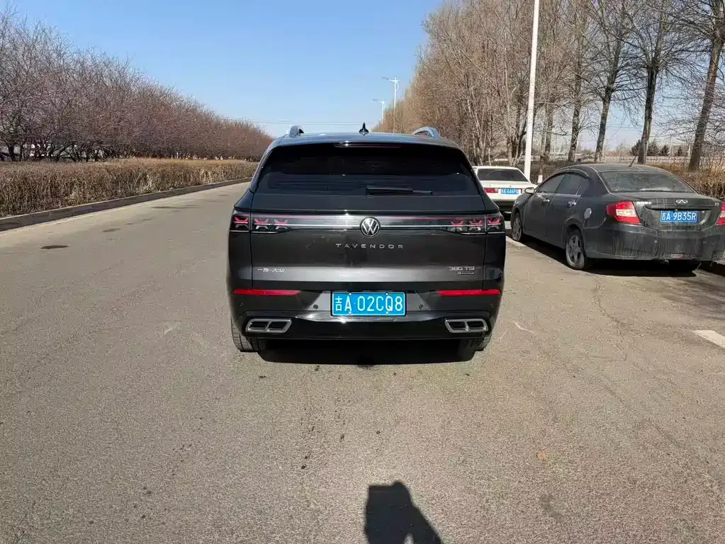 Volkswagen Tavendor 2024 из CN, фото 10