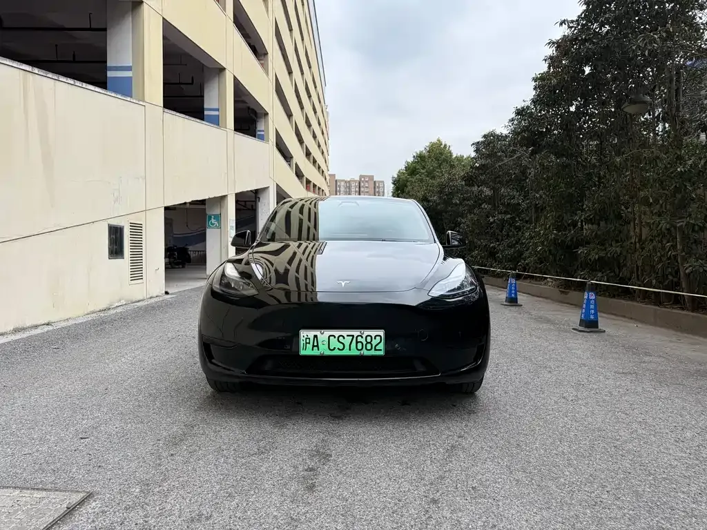 Tesla Model Y — фото 6