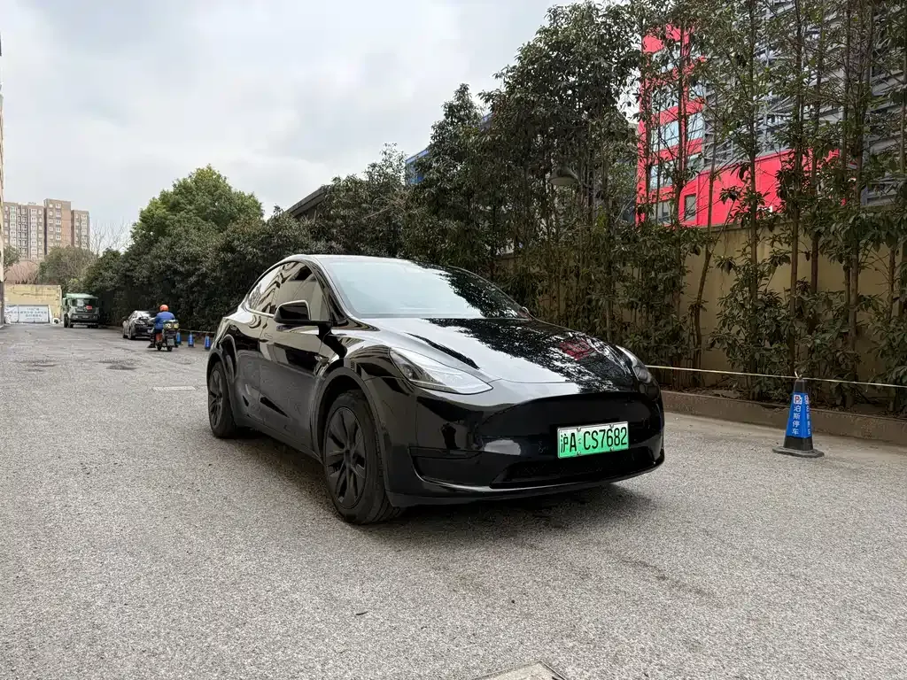 Tesla Model Y — фото 9