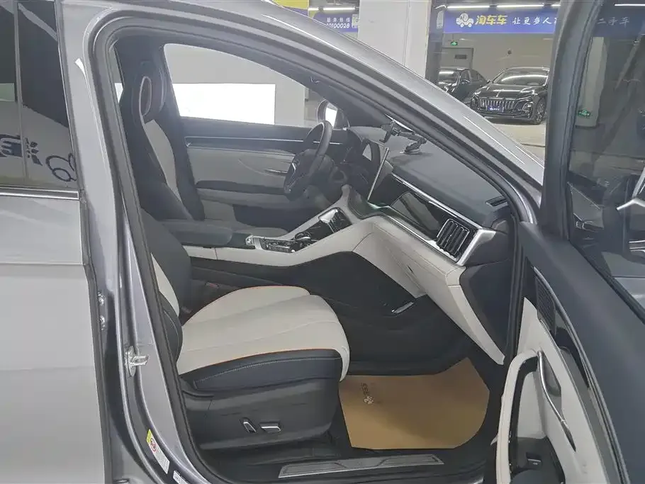 BYD PLUS New Energy — фото 10