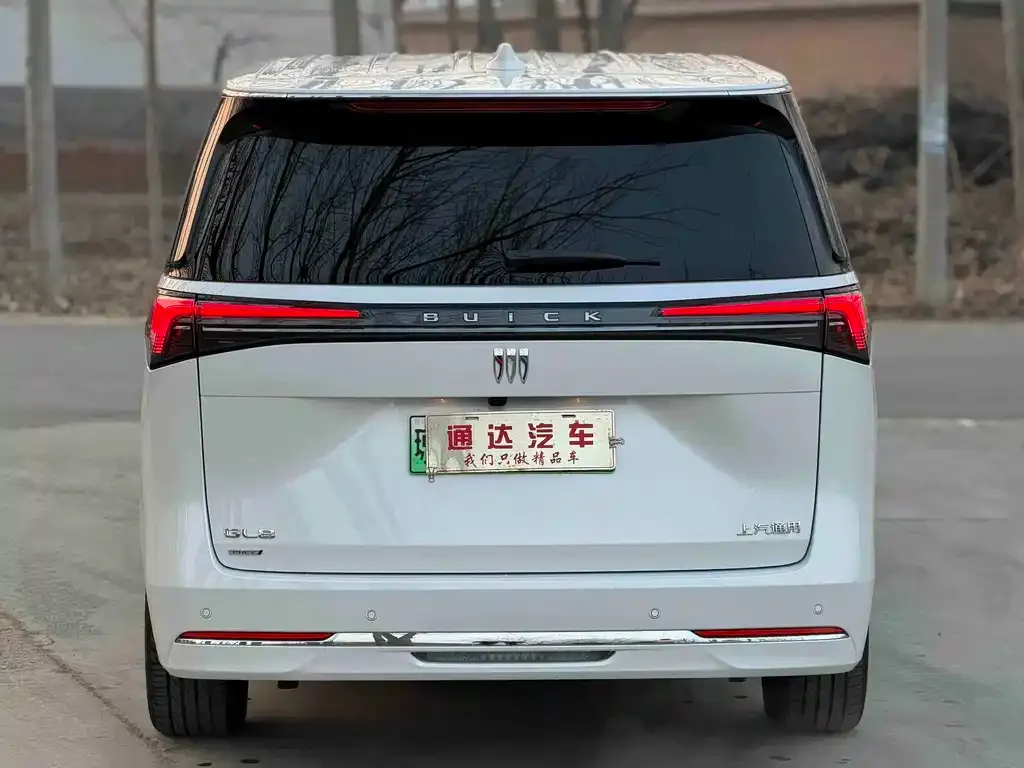 Buick GL8 Hybrid — фото 9