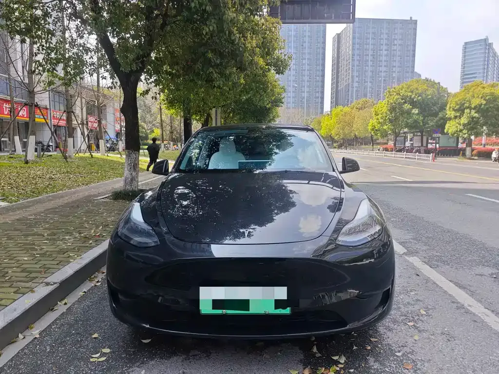 Tesla Model Y — фото 9