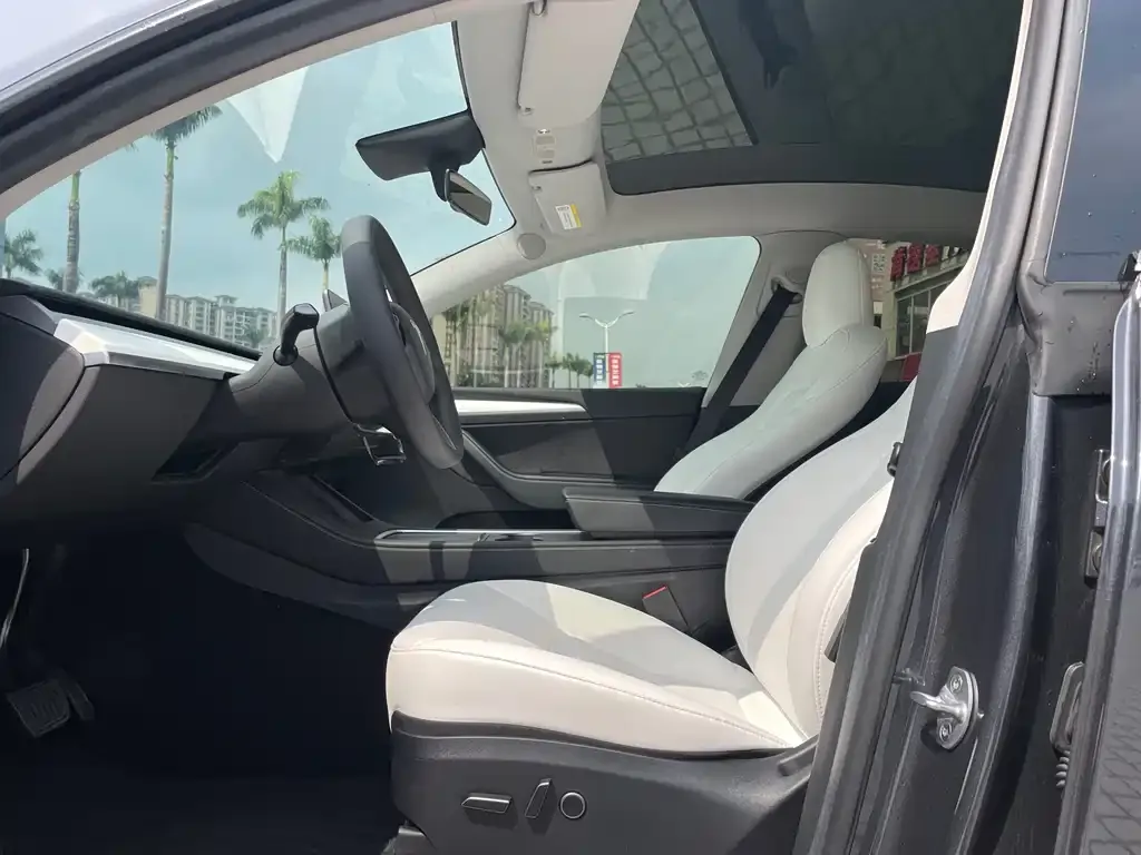 Tesla Model Y — фото 10