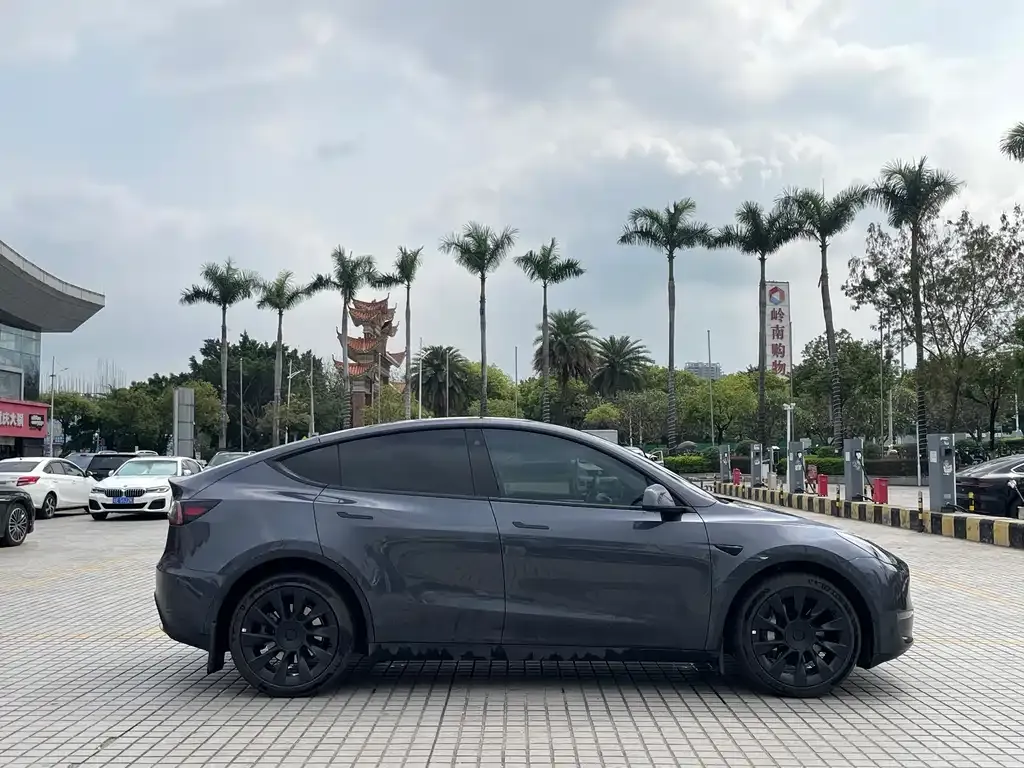 Tesla Model Y — фото 3