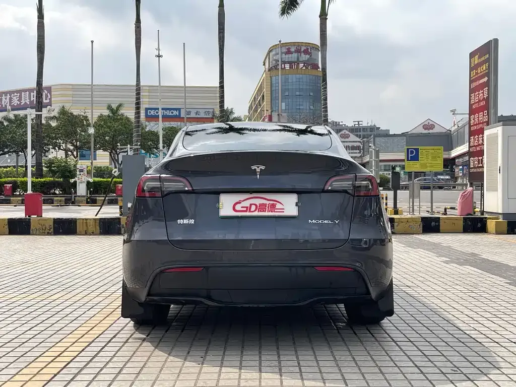 Tesla Model Y — фото 2