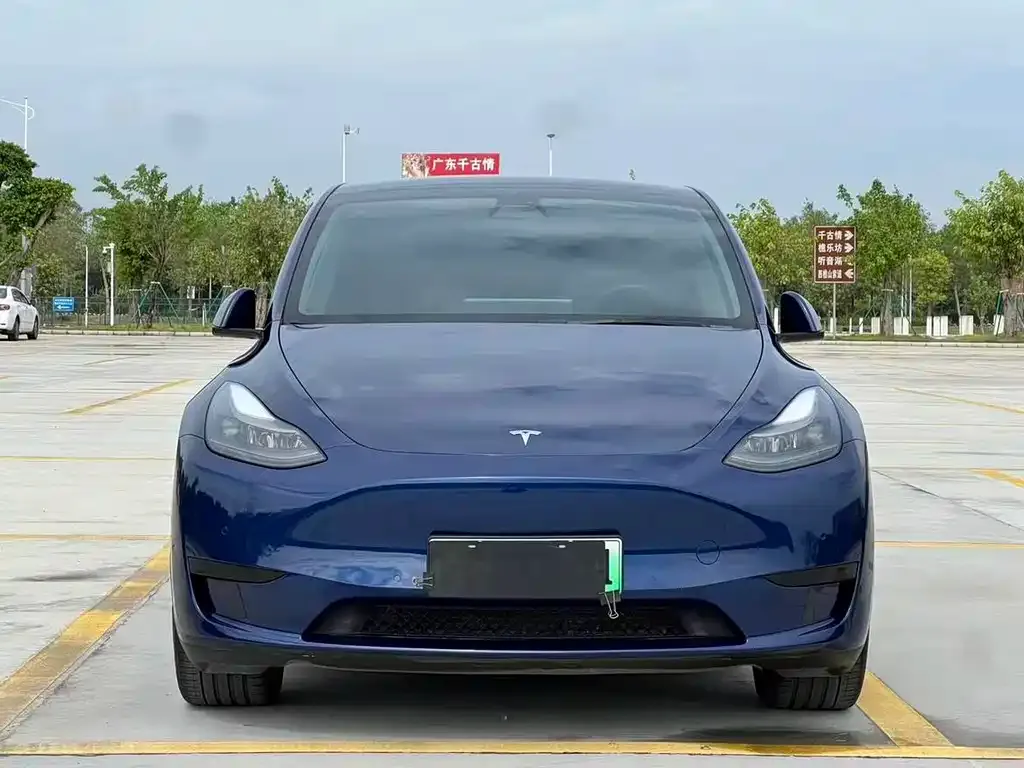 Tesla Model Y — фото 6