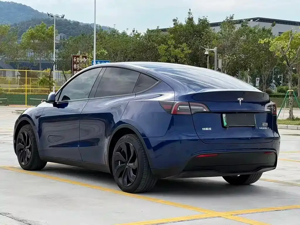 Tesla Model Y — фото 4