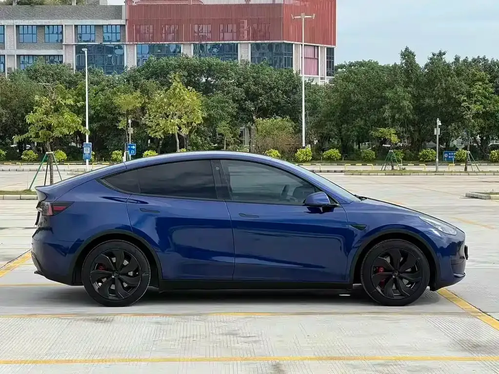 Tesla Model Y — фото 2