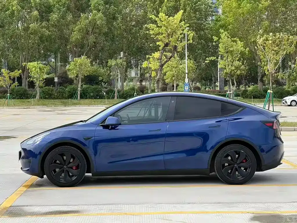 Tesla Model Y — фото 9