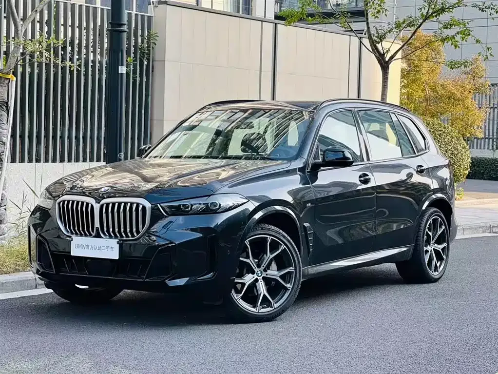 BMW X5 2025 из CN, фото 1