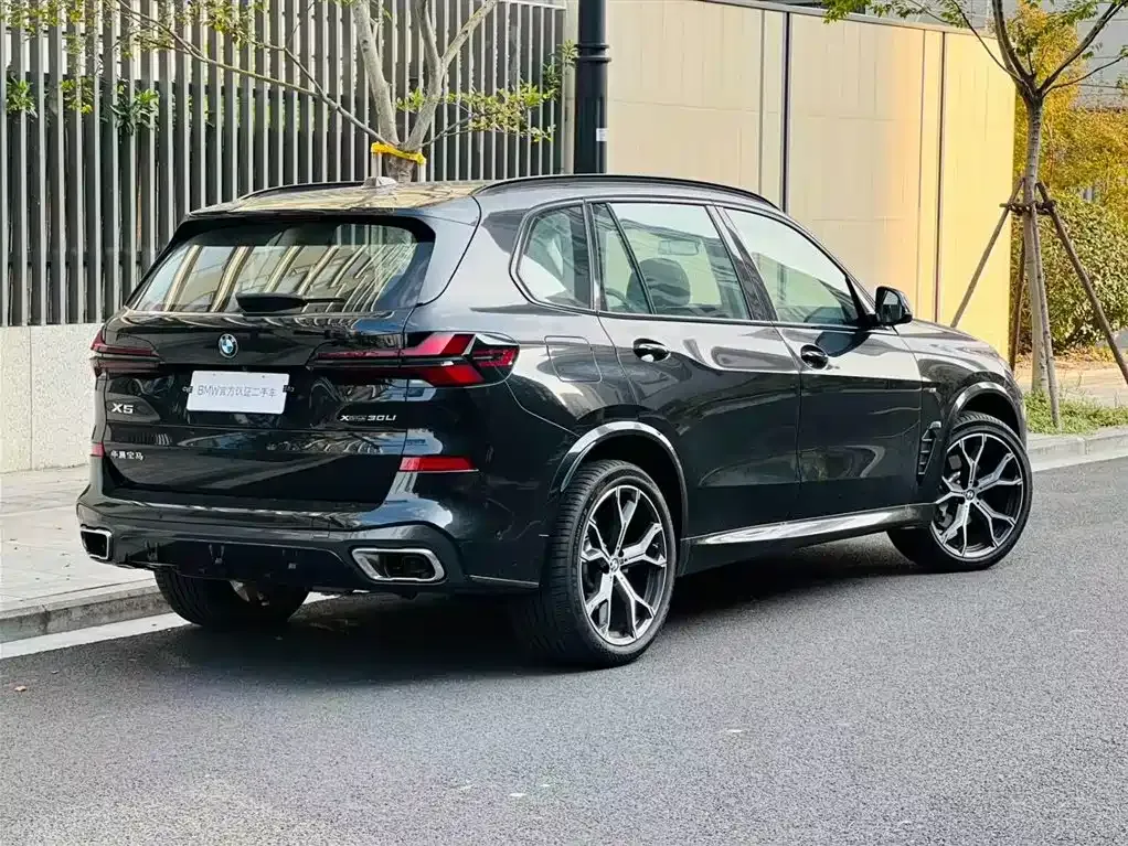 BMW X5 2025 из CN, фото 10