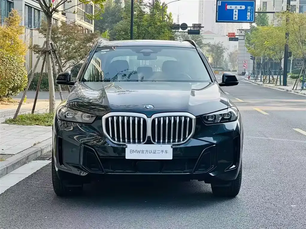 BMW X5 2025 из CN, фото 8