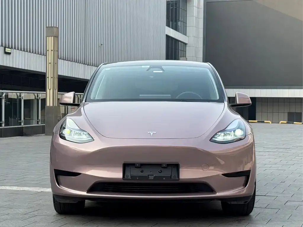 Tesla Model Y — фото 2