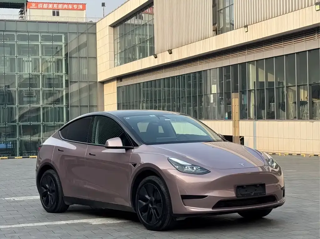 Tesla Model Y — фото 9