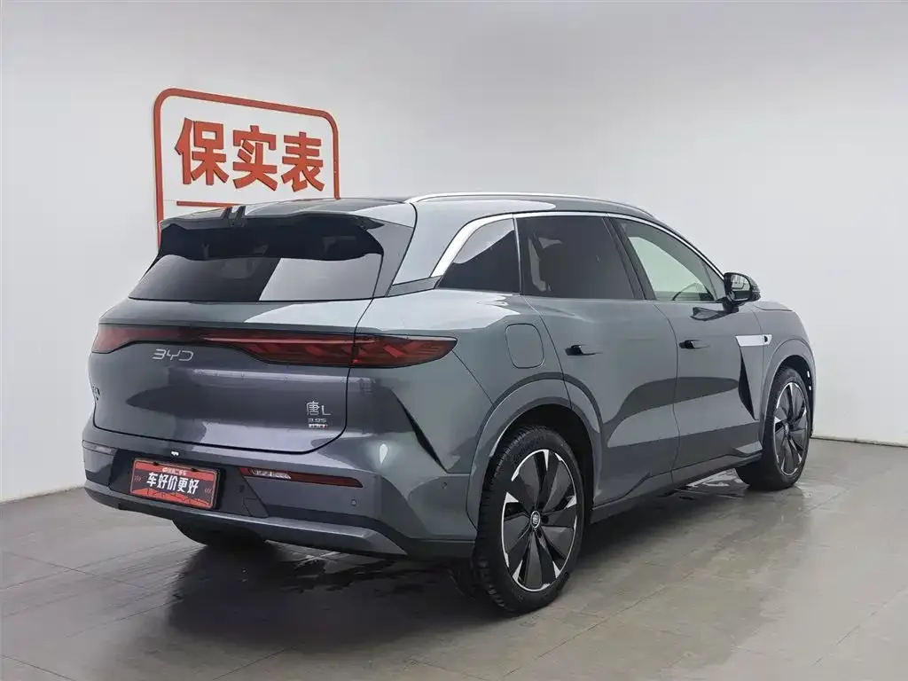 BYD Tang L — фото 2